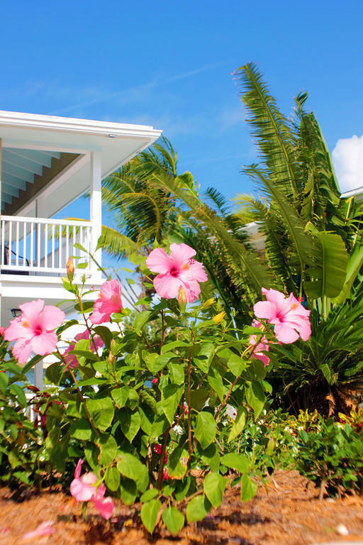 Exuma Beach Resort George Town Exterior foto